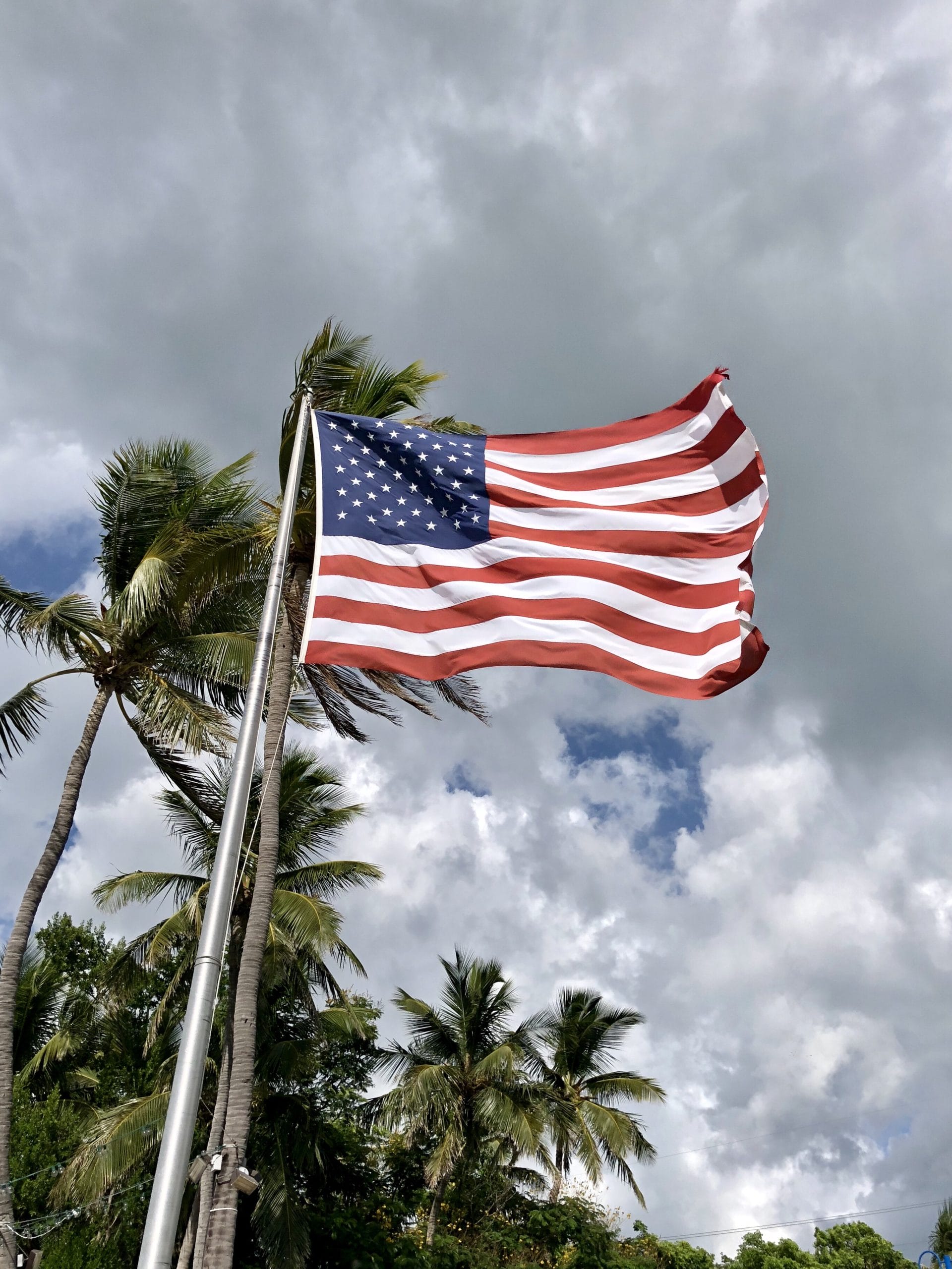 American flag waving on a windy day against a cloudy sky and palm trees, representing pride and veteran service.