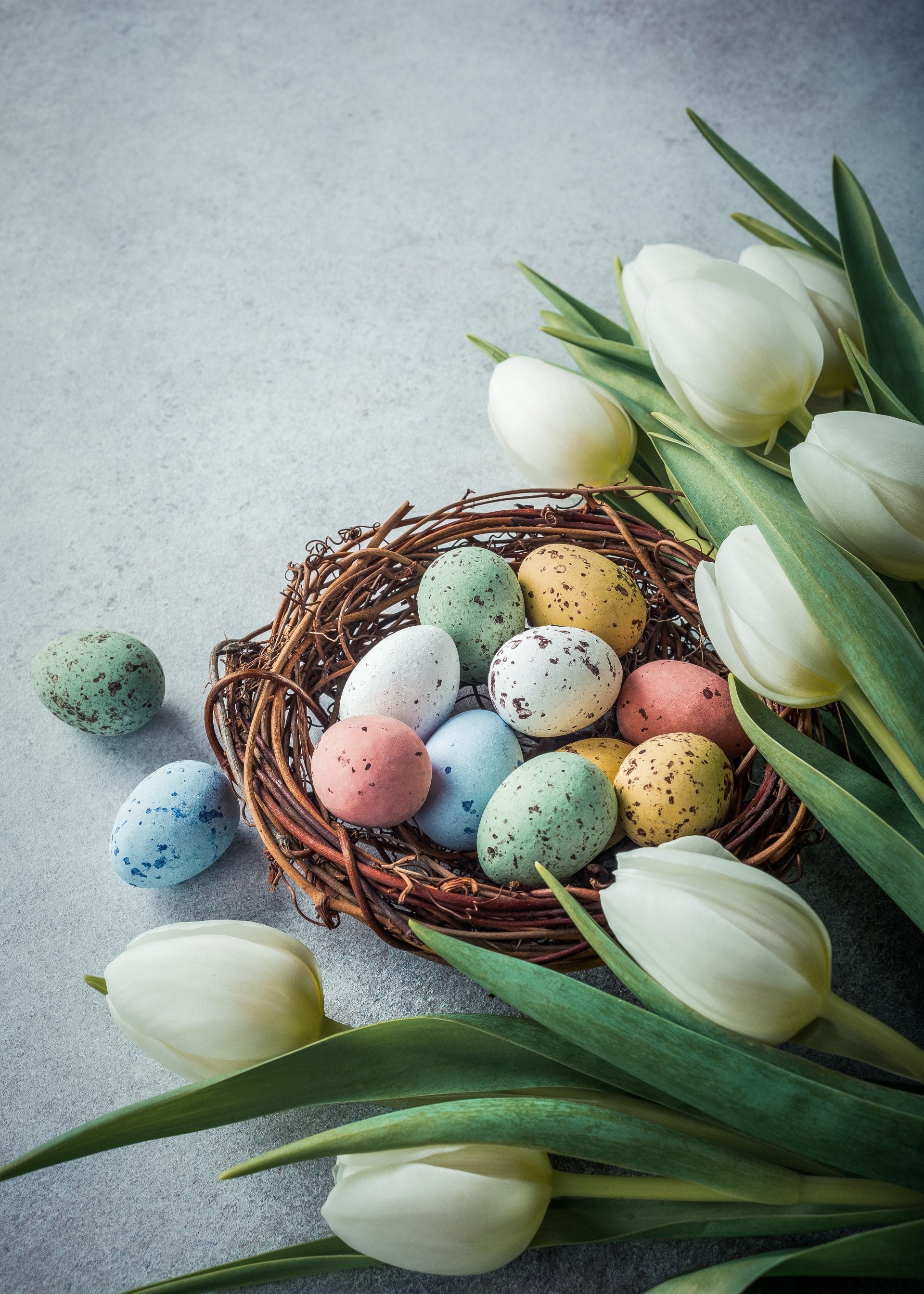 beautiful-white-tulips-2026-03-24-07-29-54-utc